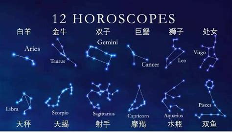 世界上最多人的星座